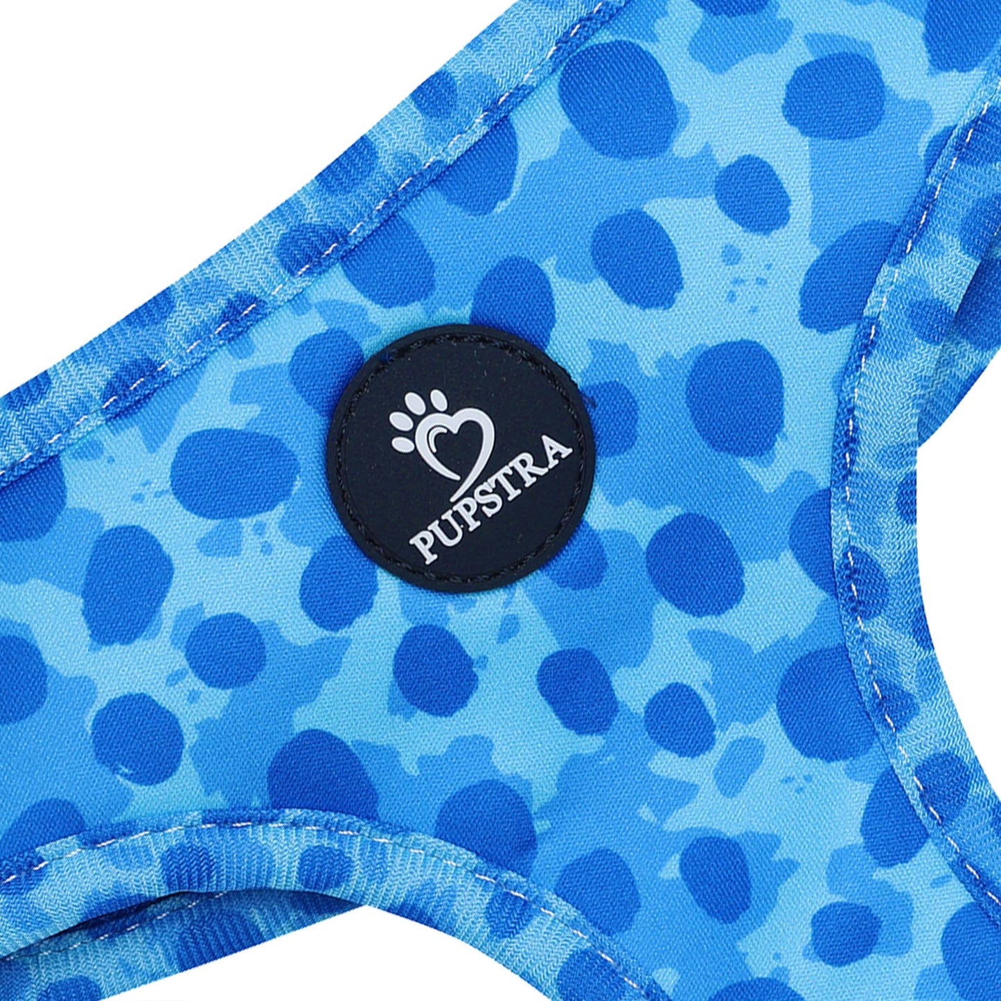 Bundle - Blue Leopard