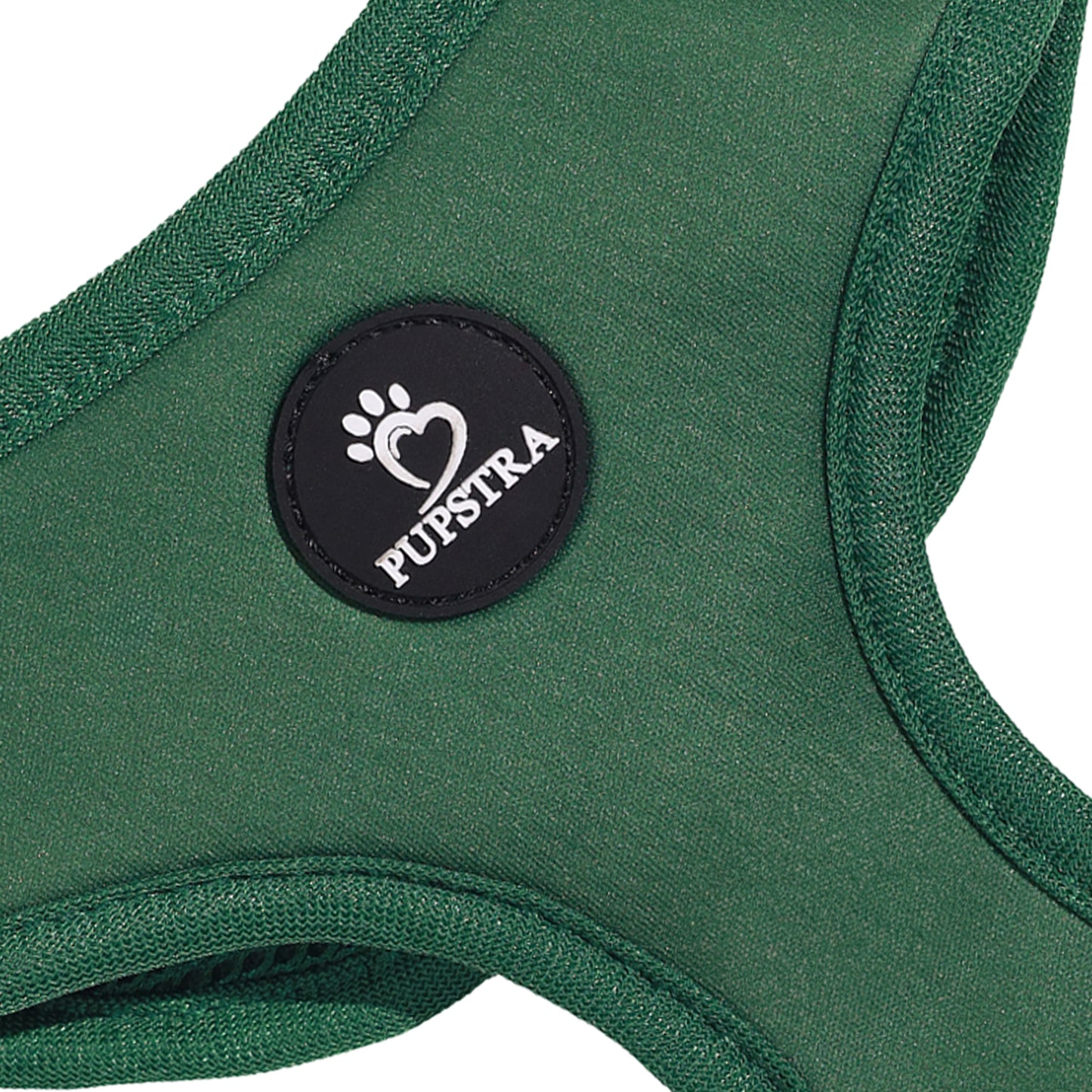 Bundle - Green