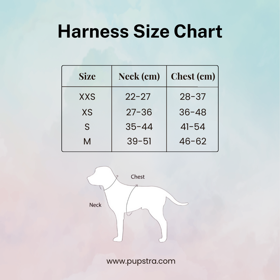 Adjustable Harness - Baby Blue