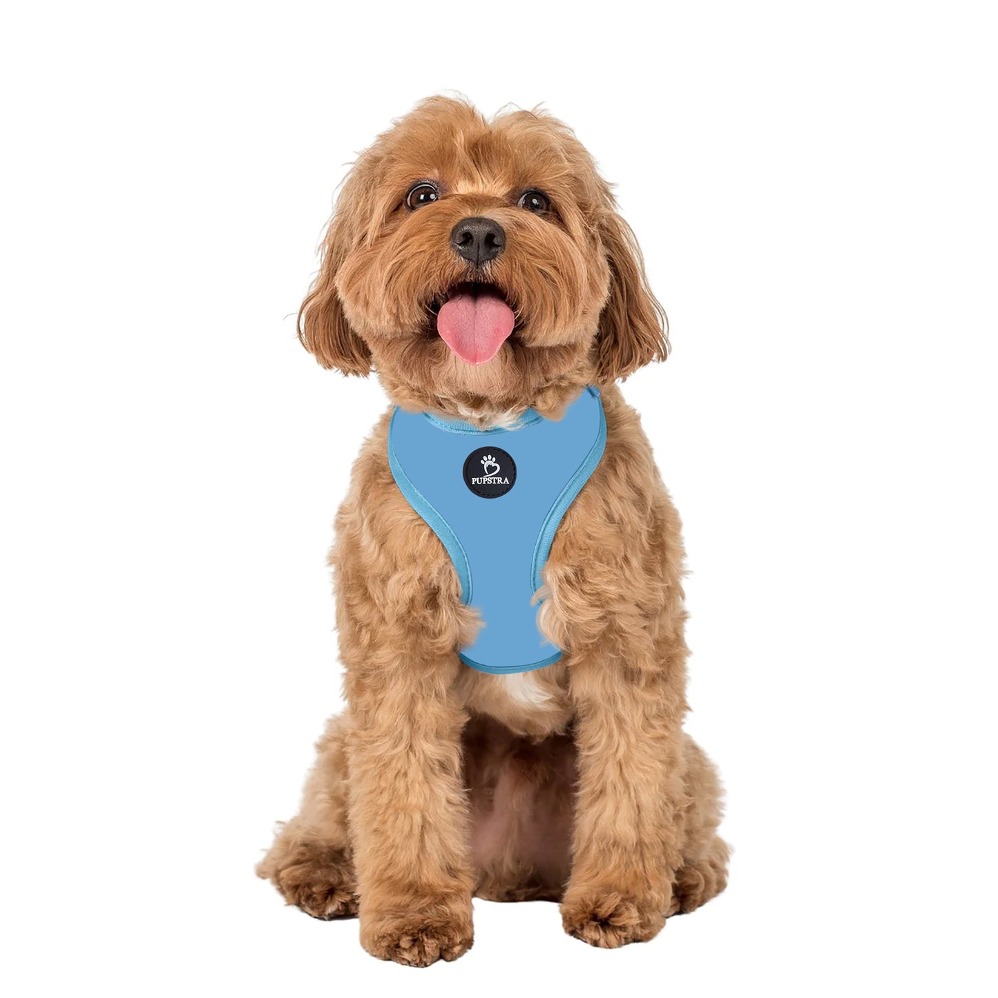Adjustable Harness - Baby Blue