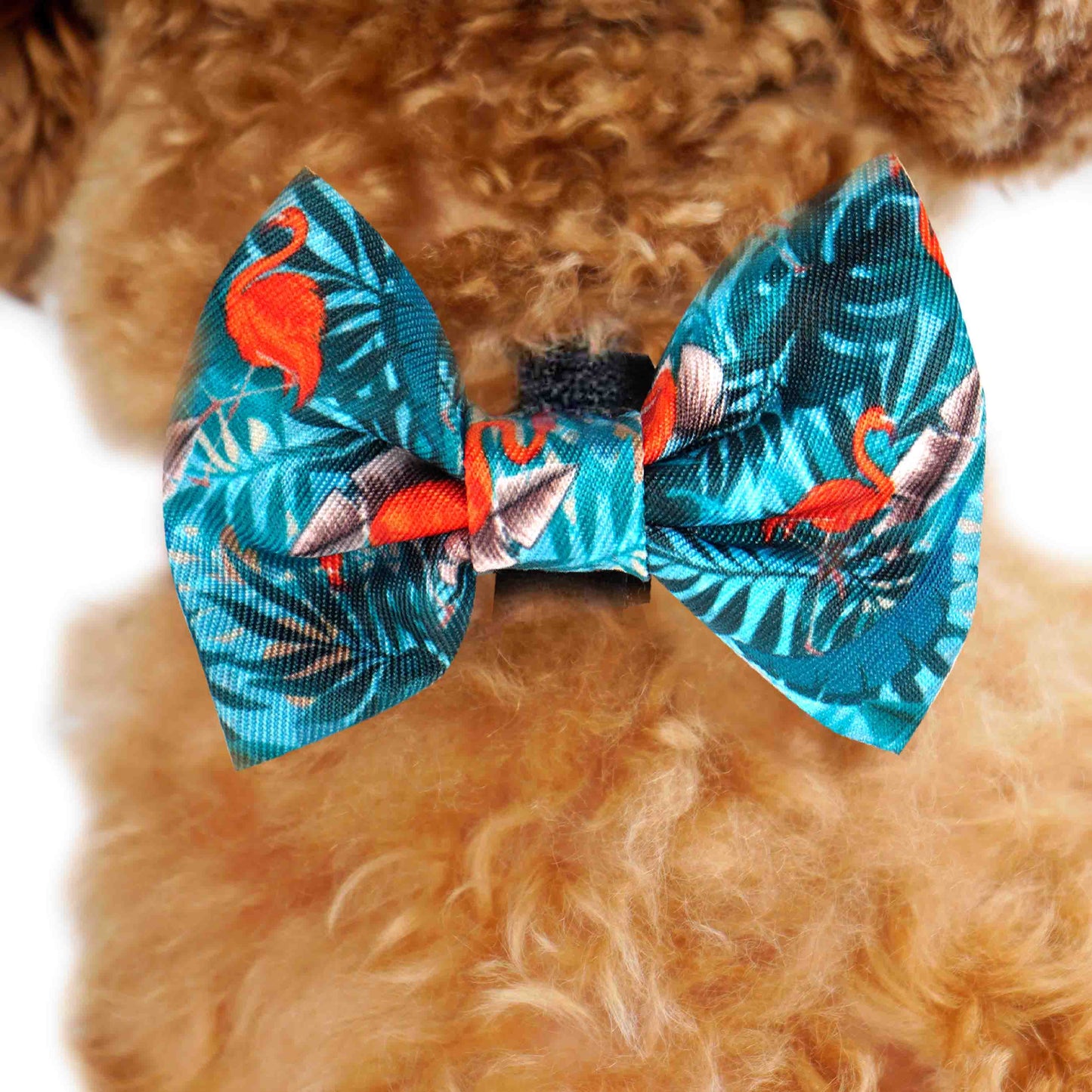 Bow Tie - Flamingo