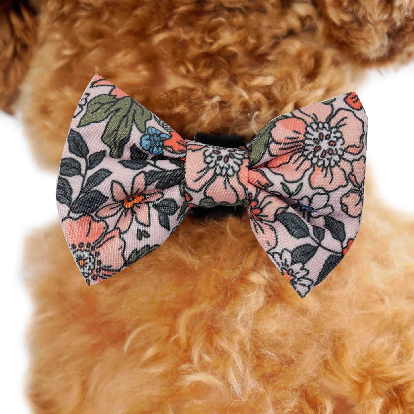 Bow Tie - Floral Garden