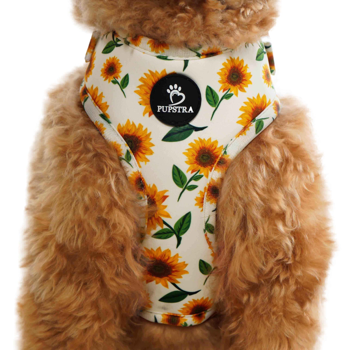 Bundle - Sunflower
