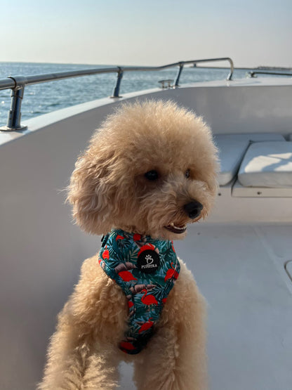 Adjustable Harness - Flamingo