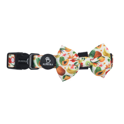 Collar - Fruity