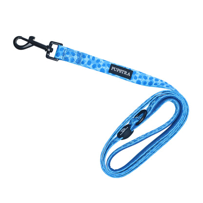 Bundle - Blue Leopard