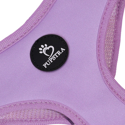 Bundle - Lilac