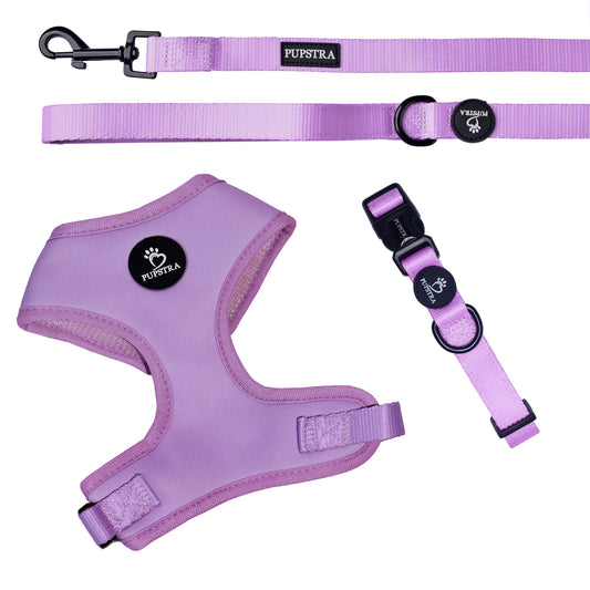 Bundle - Lilac