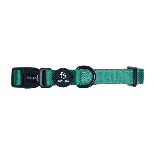 Collar - Green