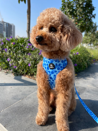 Adjustable Harness - Blue Leopard