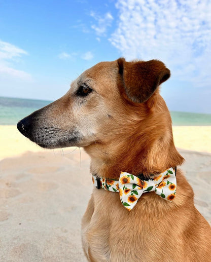 Bow Tie - Sunflower