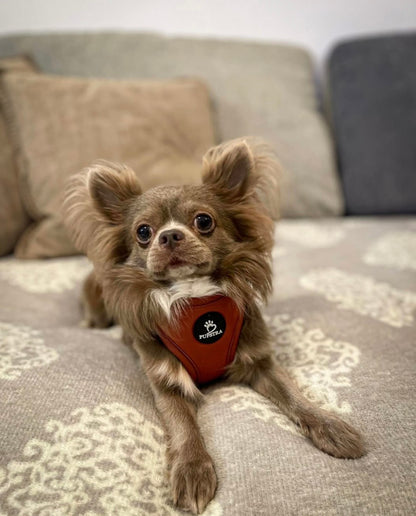 Adjustable Harness - Terracotta