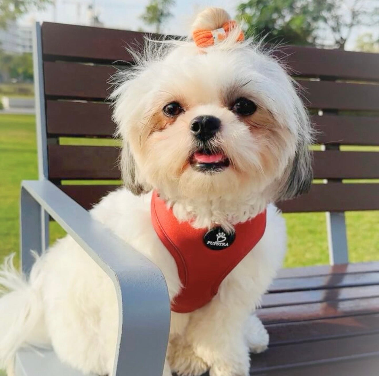 Adjustable Harness - Terracotta