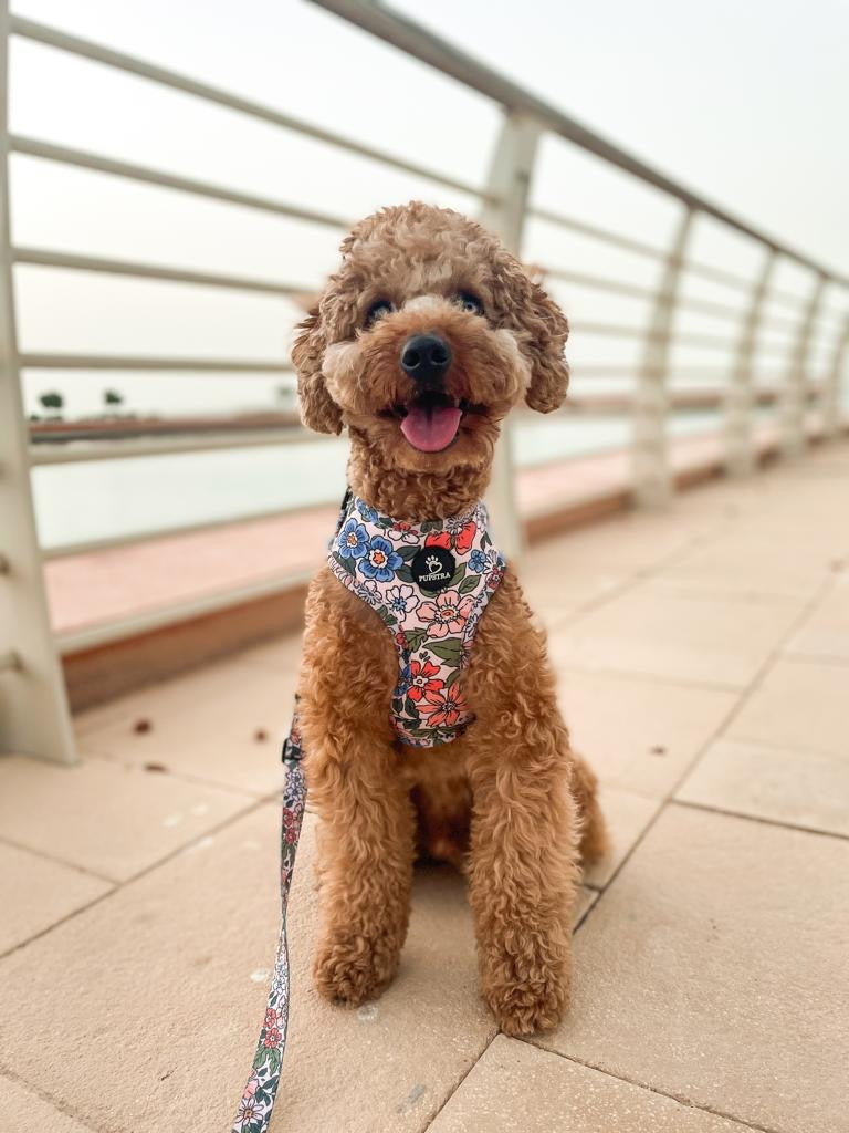 Adjustable Harness - Floral Garden