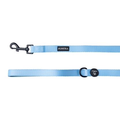 Leash - Baby Blue