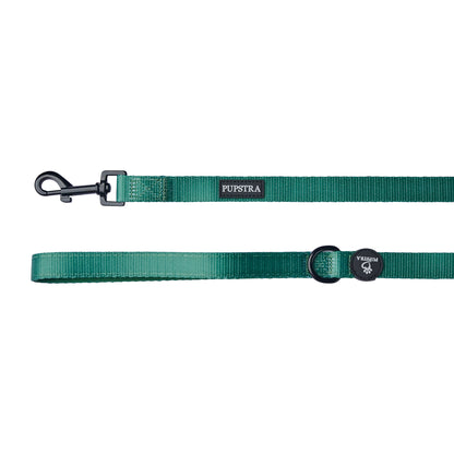 Leash - Green