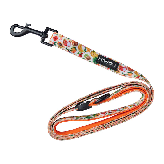 Leash - Fruity