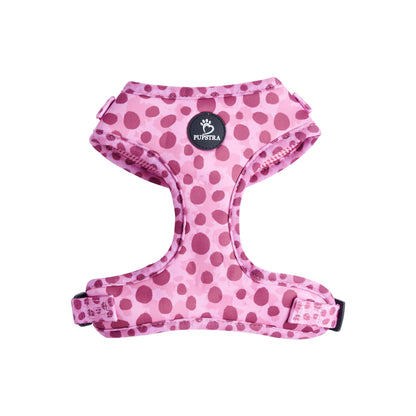Bundle - Wild Leo