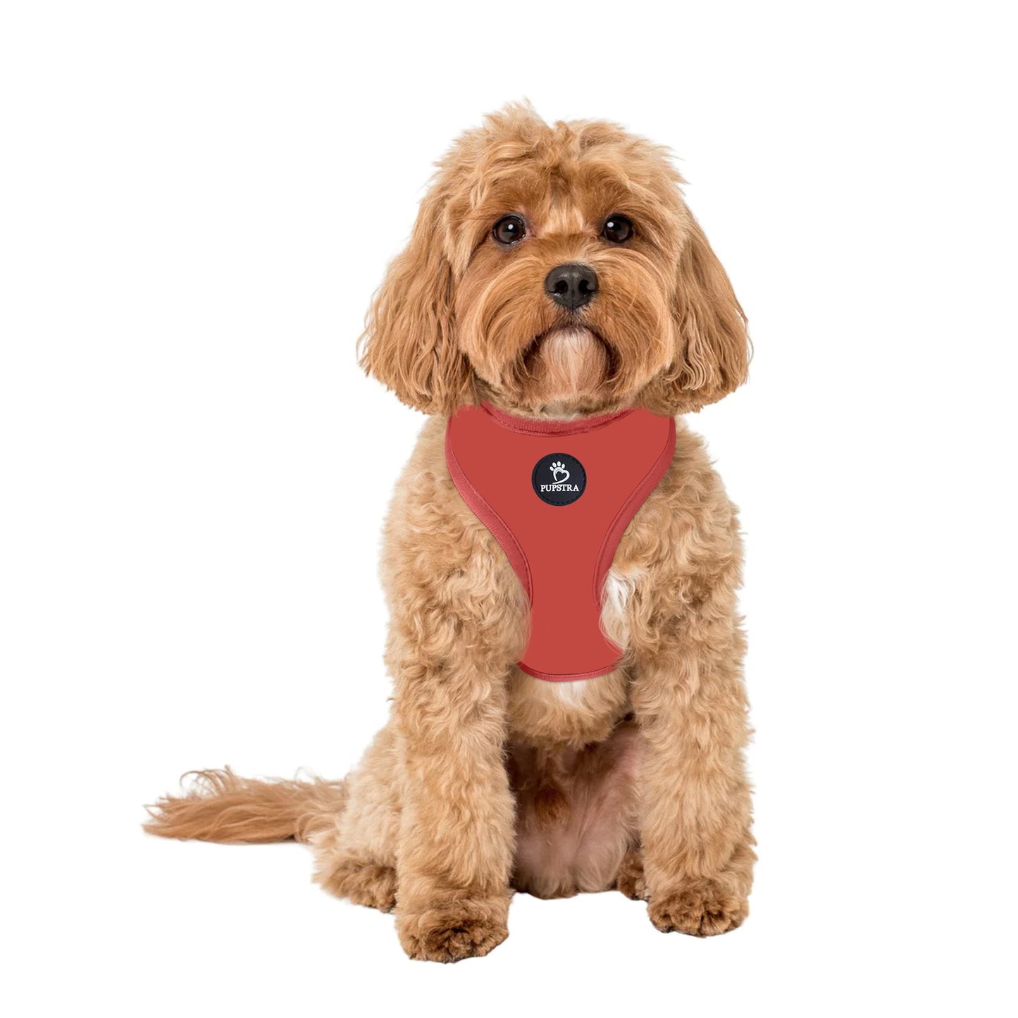 Adjustable Harness - Terracotta