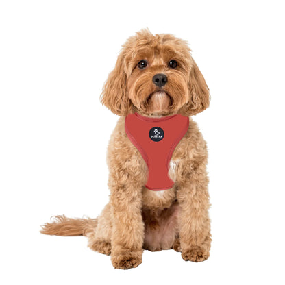 Adjustable Harness - Terracotta