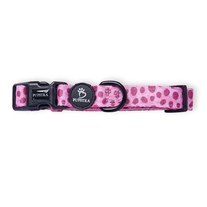 Bundle - Wild Leo
