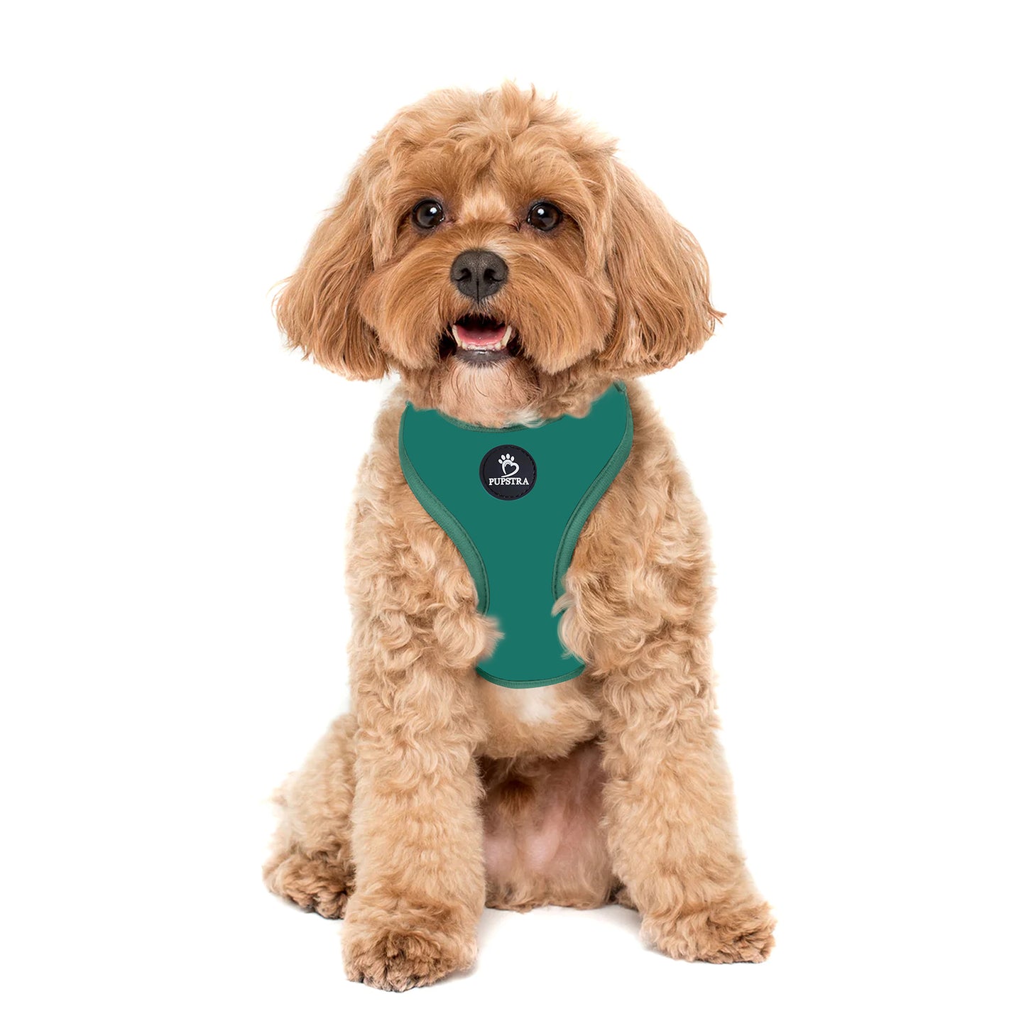 Adjustable Harness - Green