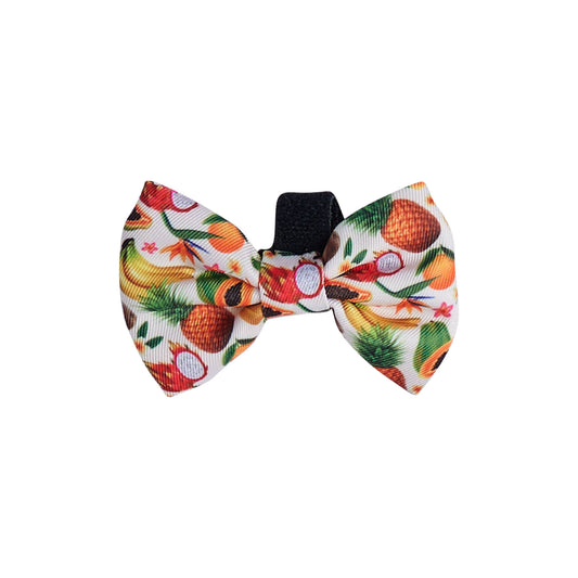 Bow Tie - Fruity