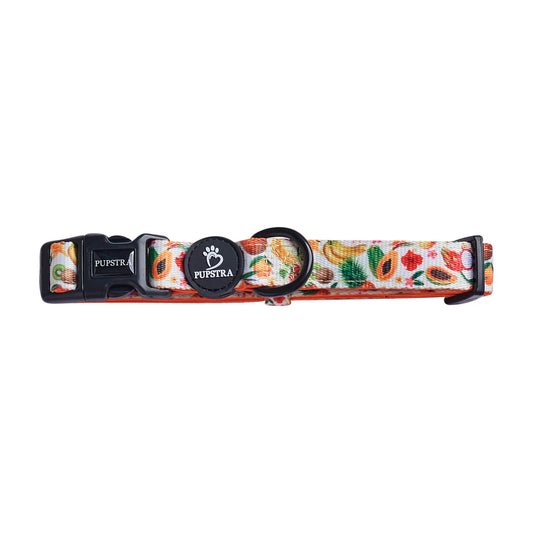 Collar - Fruity