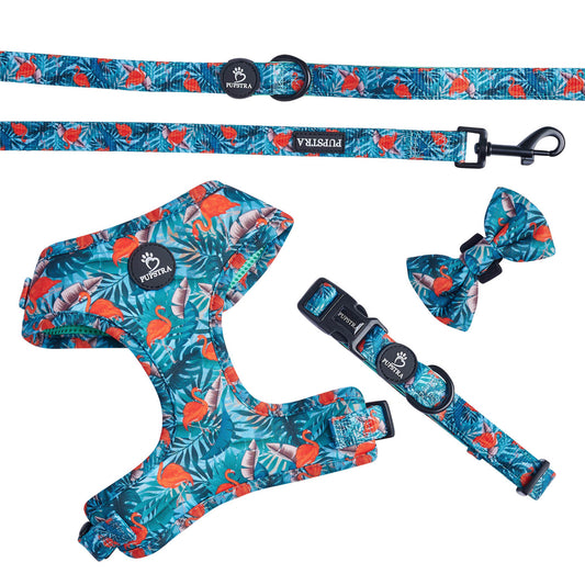 Bundle - Flamingo