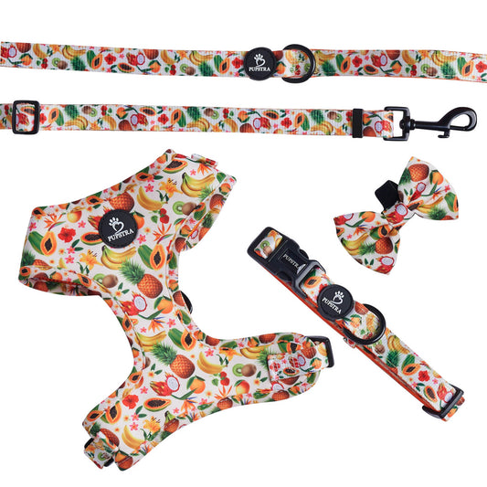 Bundle - Fruity