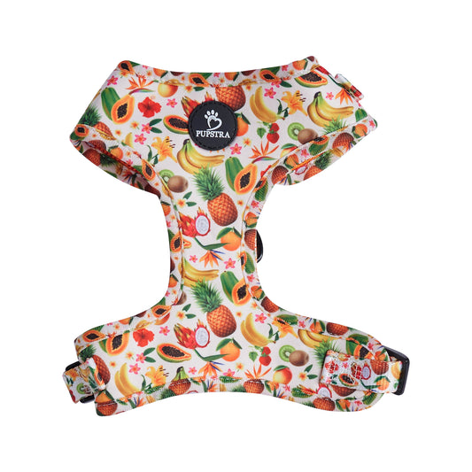 Adjustable Harness - Fruity