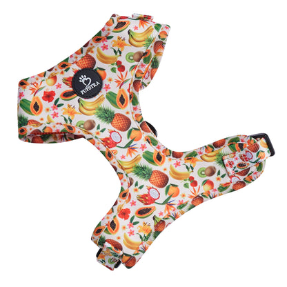 Adjustable Harness - Fruity