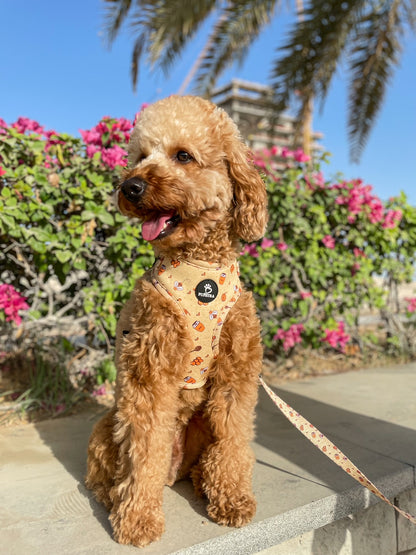 Adjustable Harness - HoneyBee