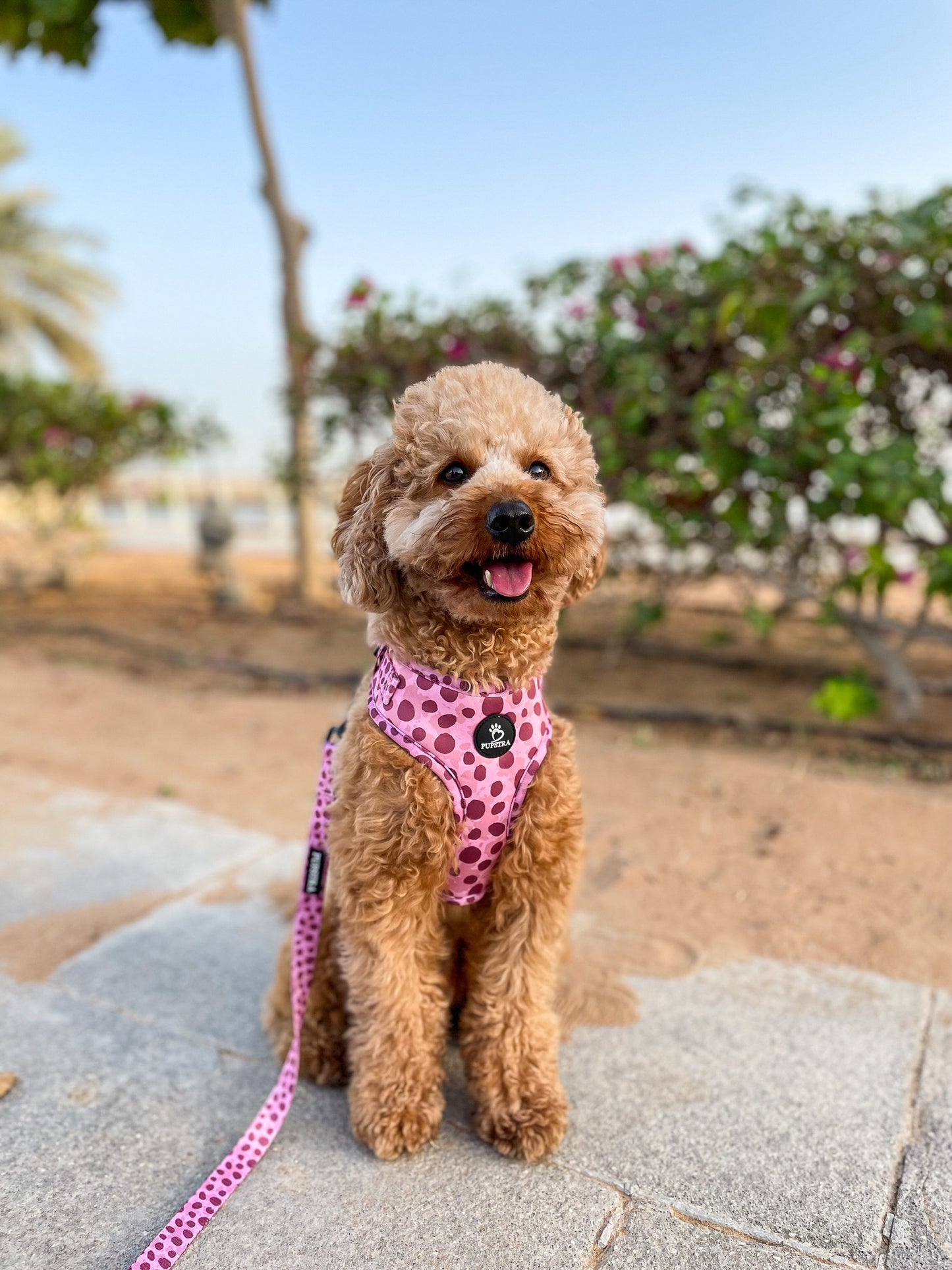 Adjustable Harness - Wild Leo