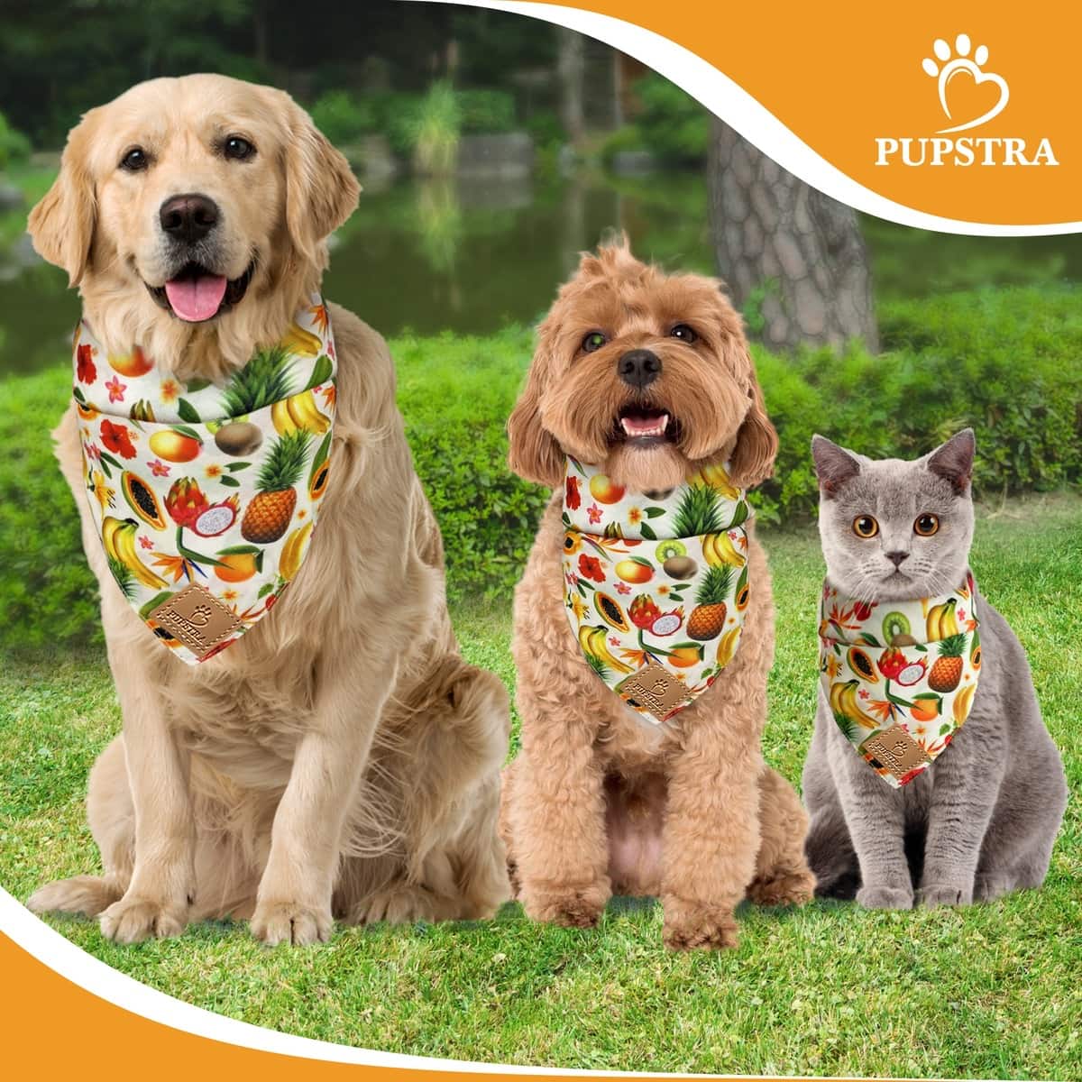 Bandana - Fruity