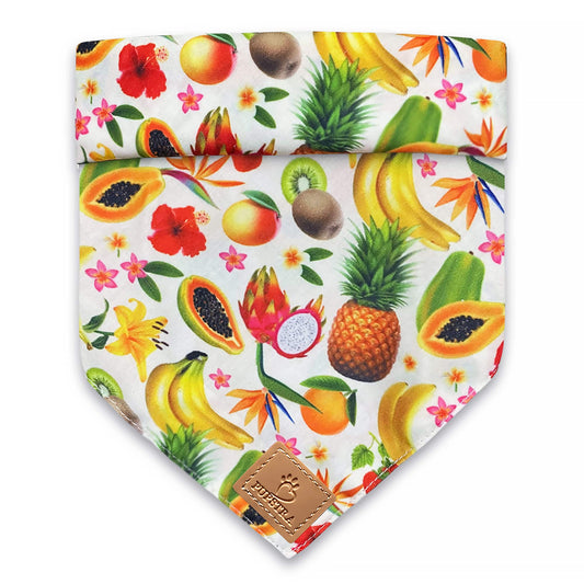 Bandana - Fruity