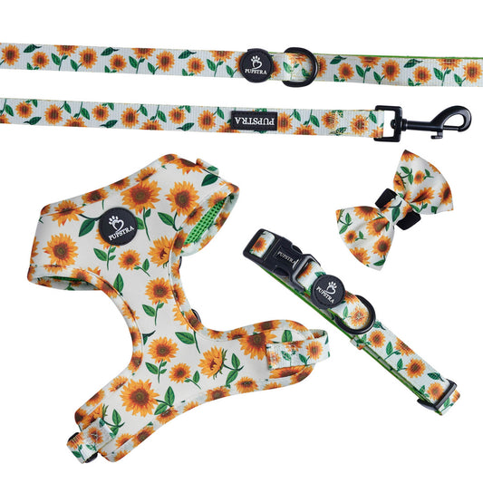 Bundle - Sunflower