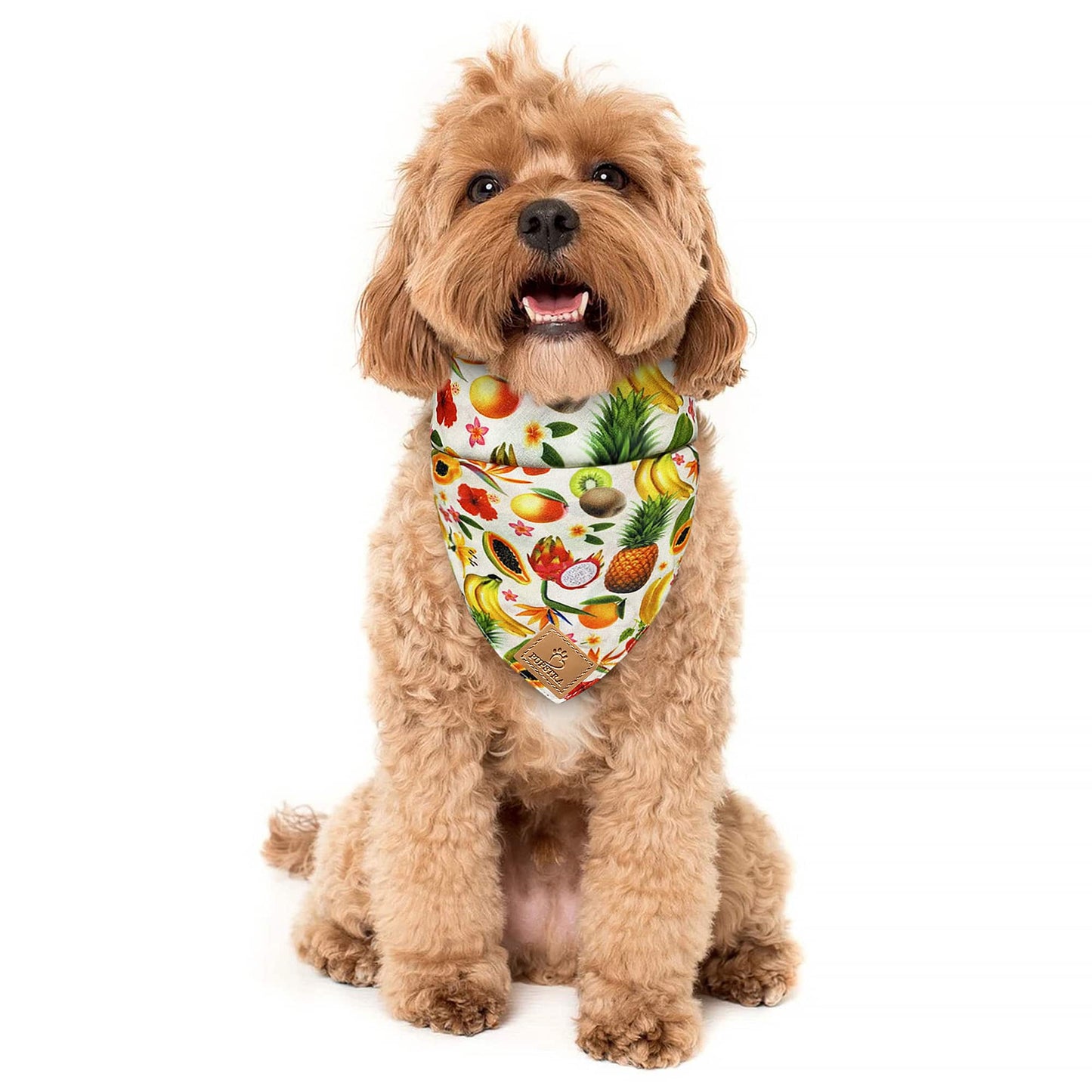 Bandana - Fruity