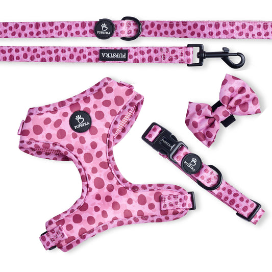 Bundle - Wild Leo