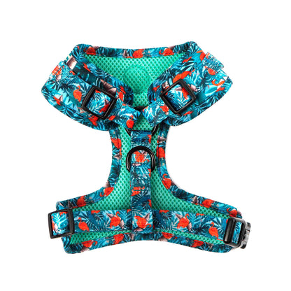 Adjustable Harness - Flamingo