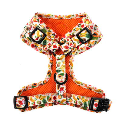Adjustable Harness - Fruity