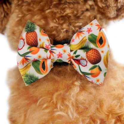 Bow Tie - Fruity