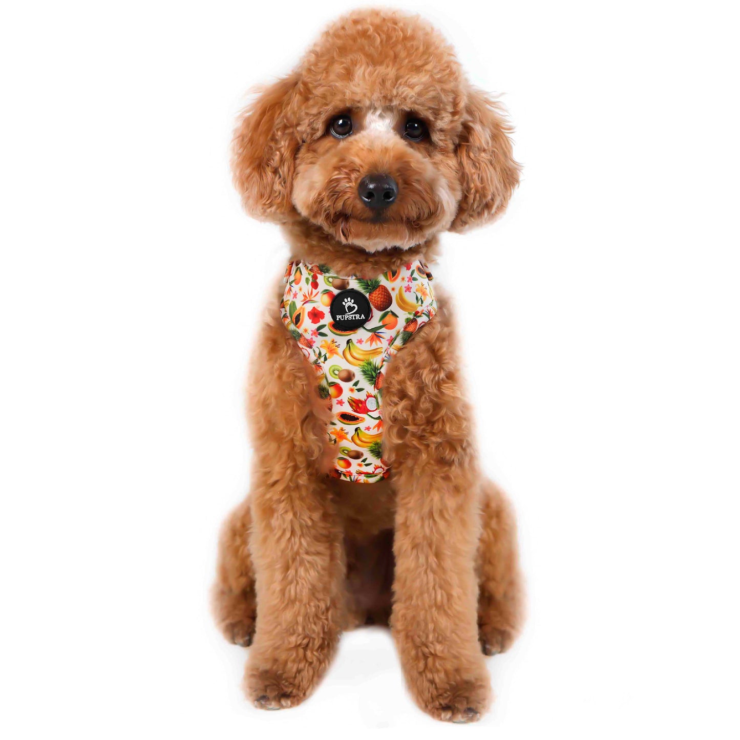 Adjustable Harness - Fruity
