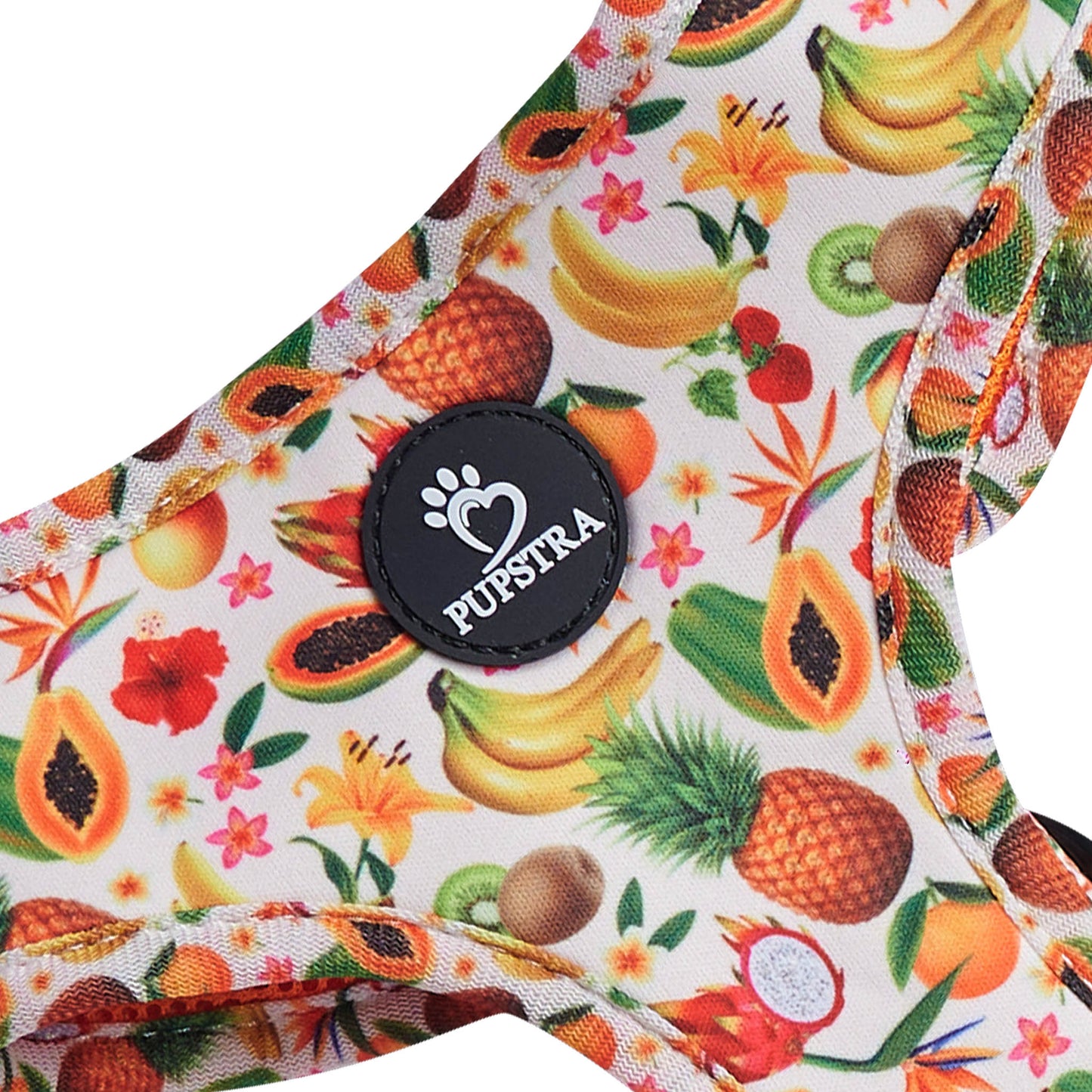 Adjustable Harness - Fruity