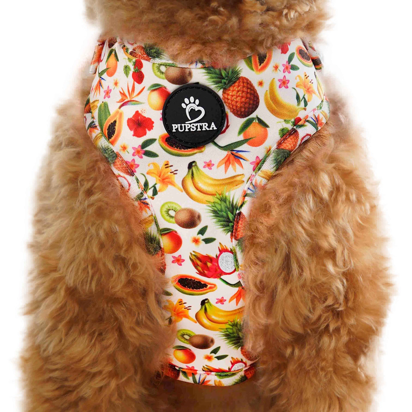 Adjustable Harness - Fruity