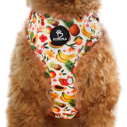 Adjustable Harness - Fruity