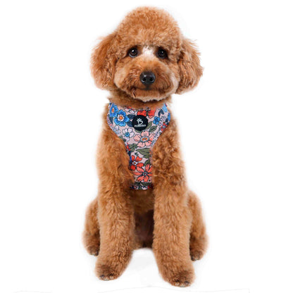 Adjustable Harness - Floral Garden