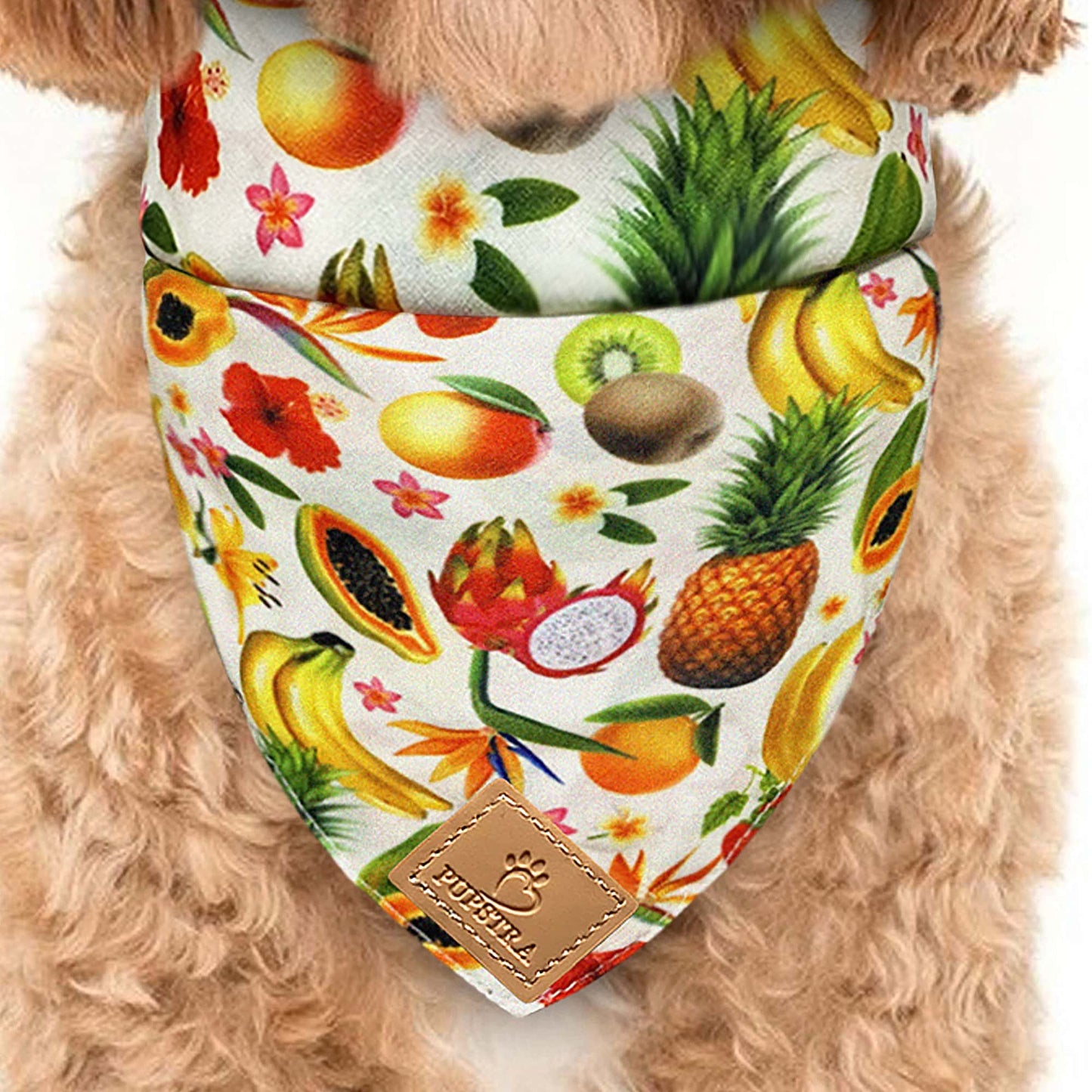 Bandana - Fruity