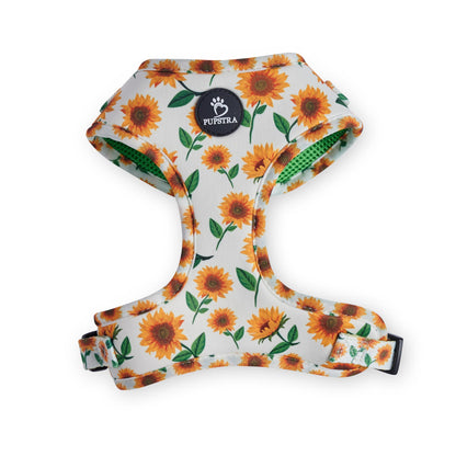 Bundle - Sunflower