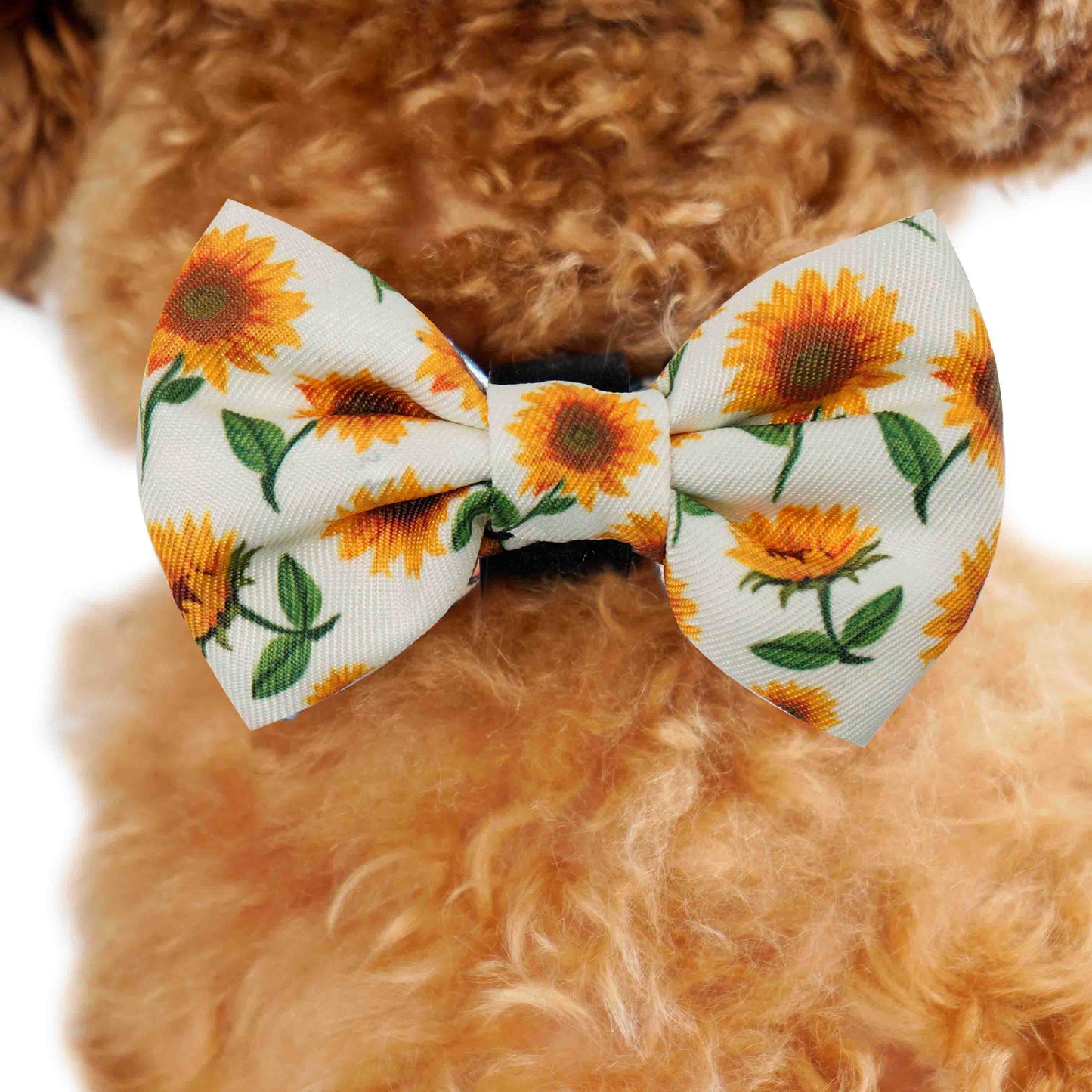 Bow Tie - Sunflower